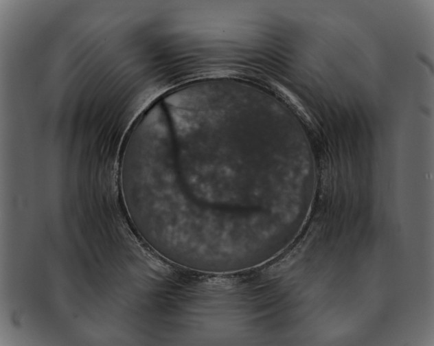 X0000091551178200709071209