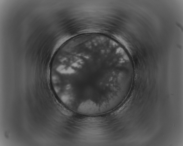 X0000091551179200709071209