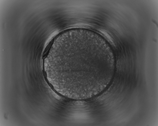 X0000091551180200709071209