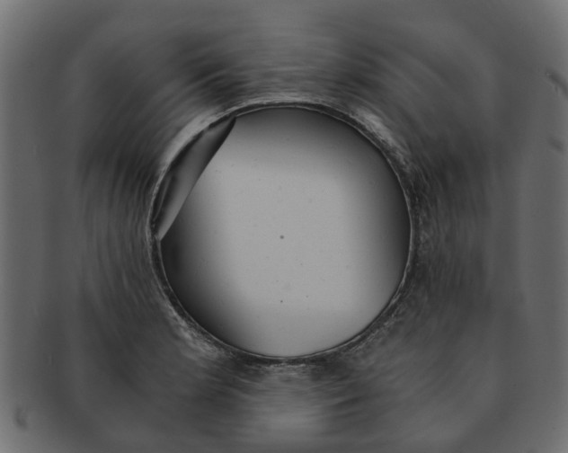 X0000091551181200709071209