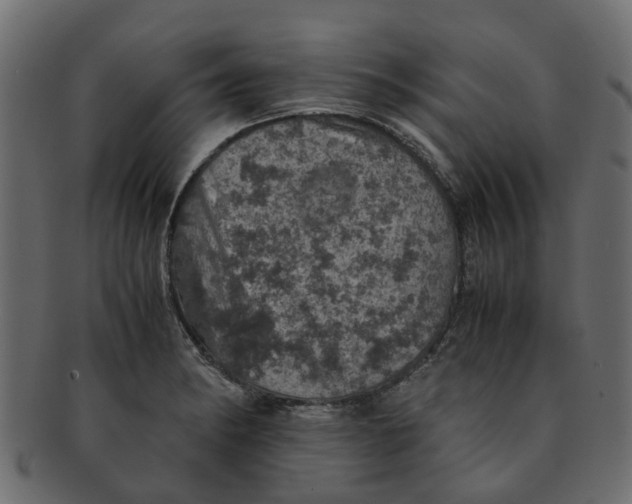 X0000091551182200709071209