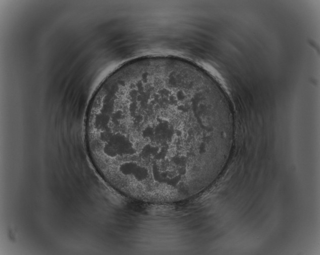 X0000091551183200709071209