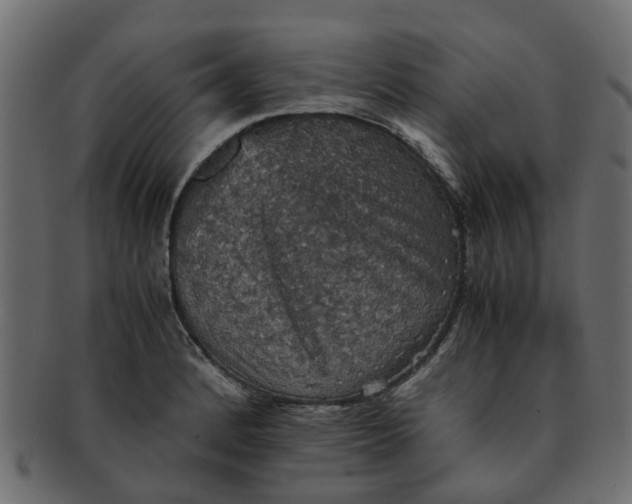 X0000091551184200709071209