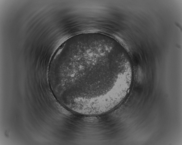 X0000091551186200709071209