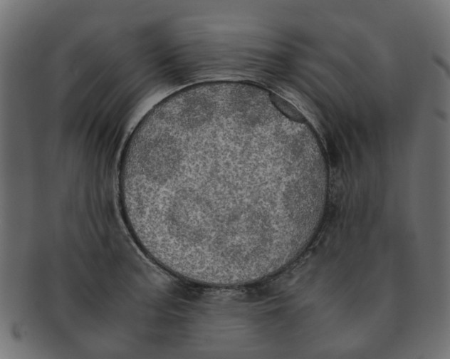 X0000091551187200709071209