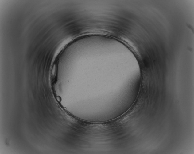 X0000091551188200709071209