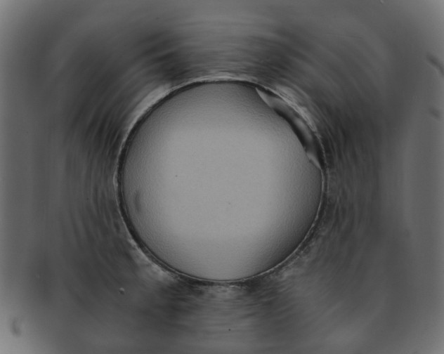 X0000091551189200709071209