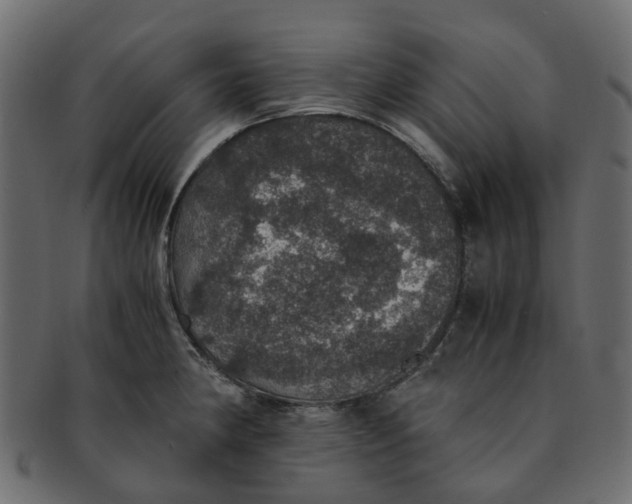 X0000091551190200709071209