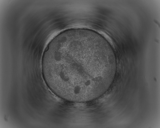 X0000091551191200709071209