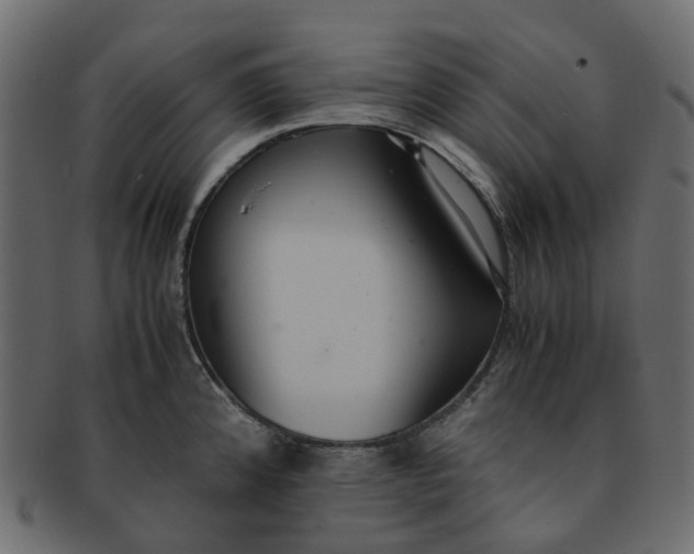 X0000091551192200709071209