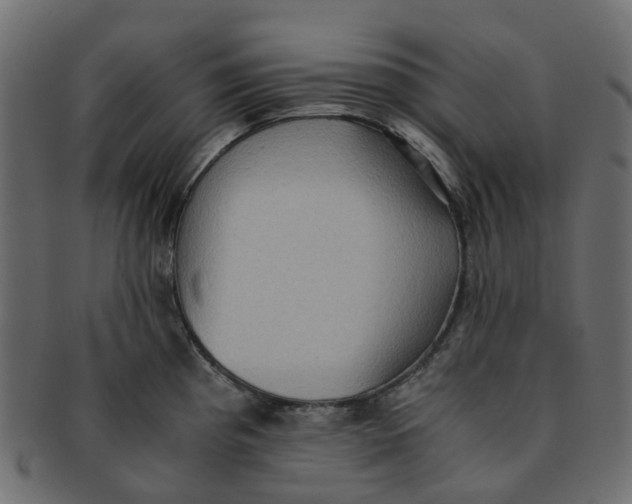 X0000091551193200709071209