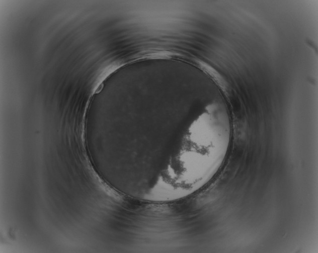 X0000091551194200709071209