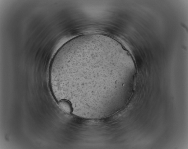 X0000091551195200709071209