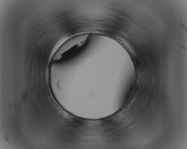 X0000091551196200709071209