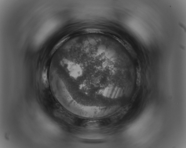 X0000091551198200709071209
