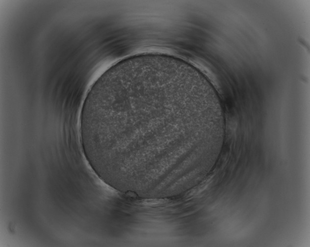 X0000091551199200709071209