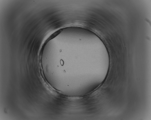 X0000091551200200709071209