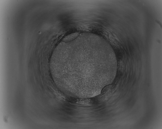 X0000091551201200709071208
