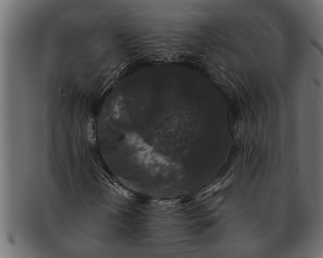 X0000091551202200709071208