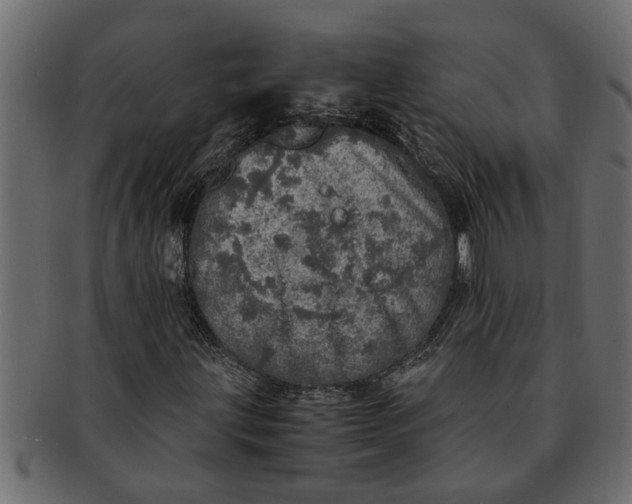 X0000091551203200709071208