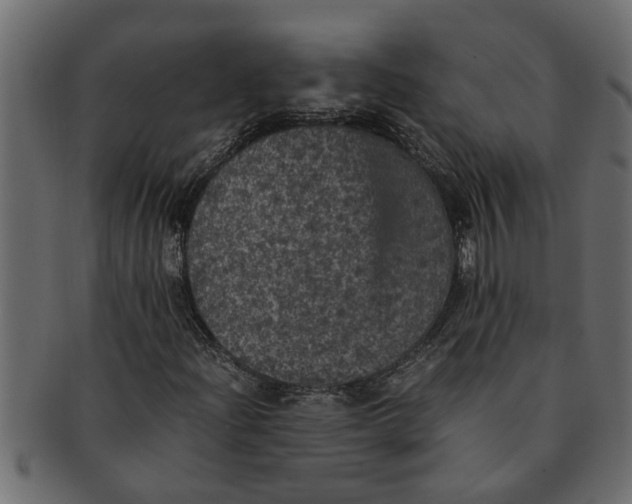 X0000091551204200709071208