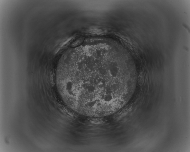X0000091551205200709071208