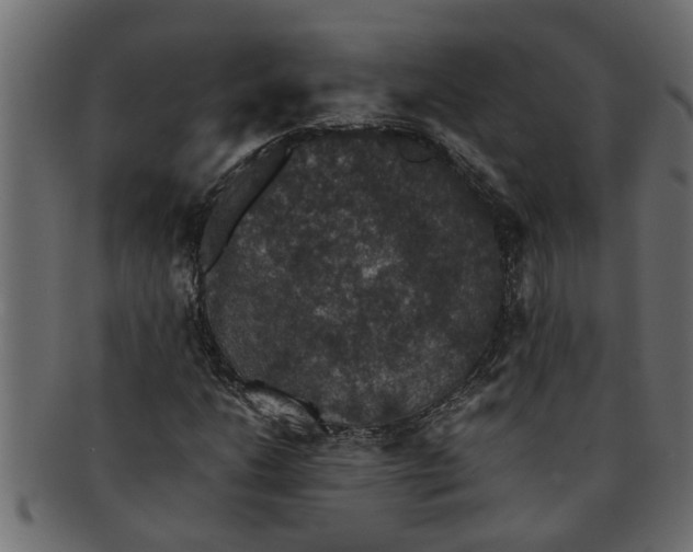 X0000091551206200709071208