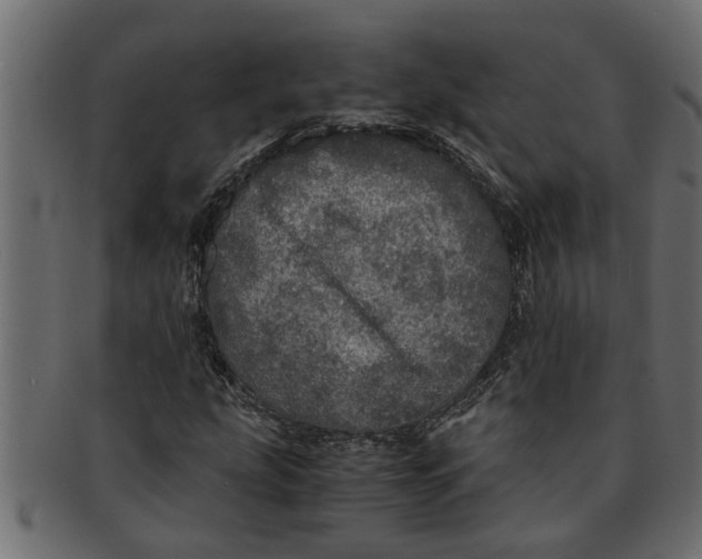 X0000091551207200709071208