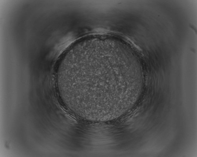 X0000091551208200709071208