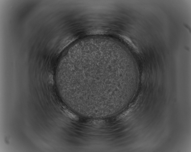 X0000091551209200709071208