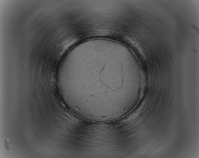 X0000091551210200709071208
