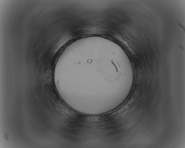 X0000091551211200709071208