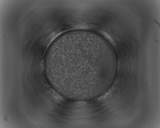 X0000091551212200709071208