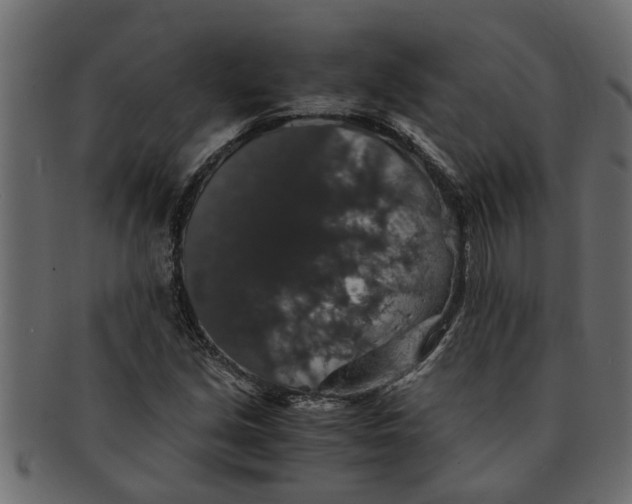 X0000091551213200709071208