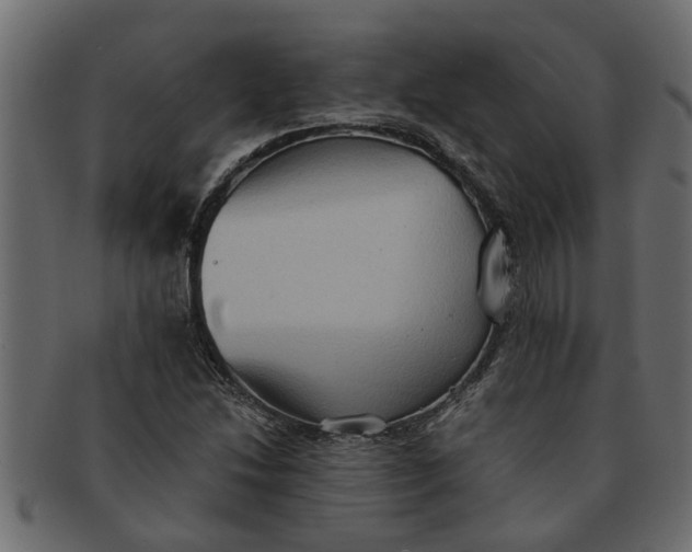 X0000091551214200709071208