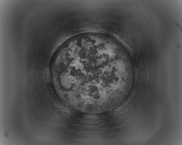 X0000091551215200709071208