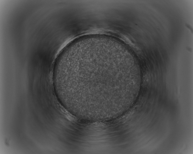 X0000091551216200709071208