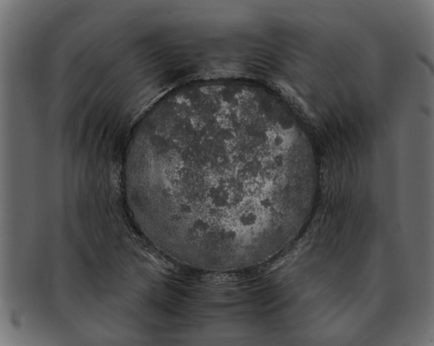 X0000091551217200709071208