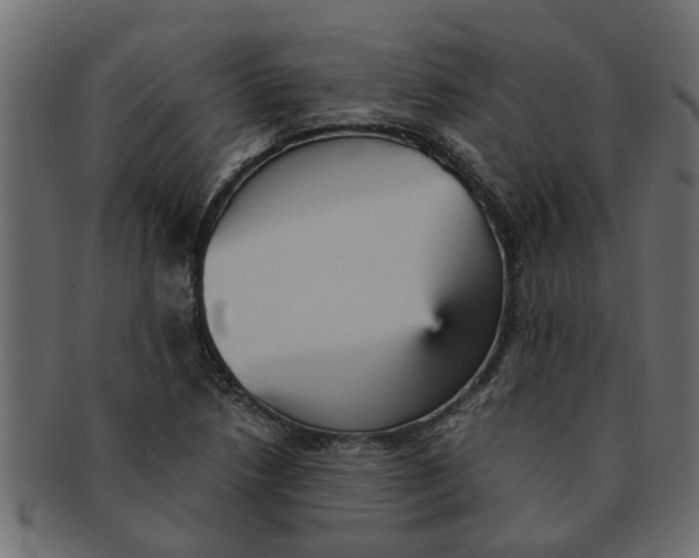 X0000091551218200709071208