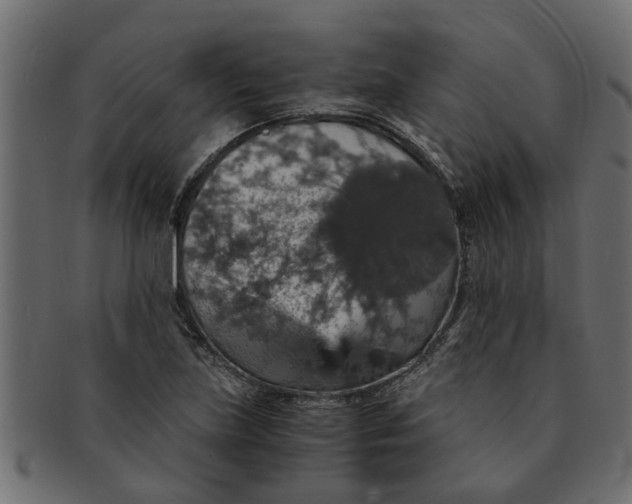 X0000091551219200709071209