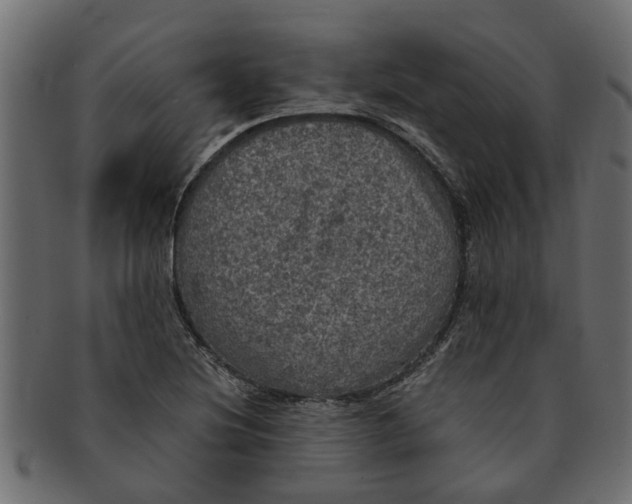 X0000091551220200709071209