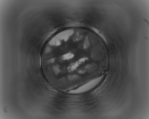 X0000091551221200709071209