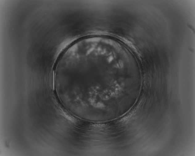 X0000091551223200709071209