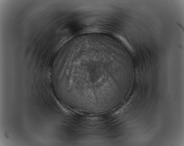 X0000091551225200709071209
