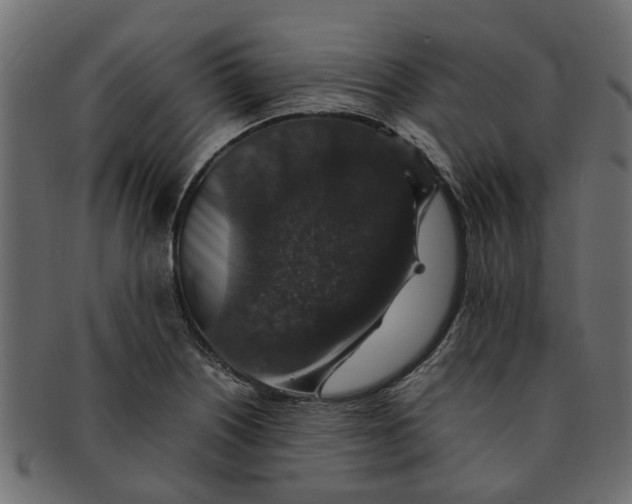 X0000091551226200709071209