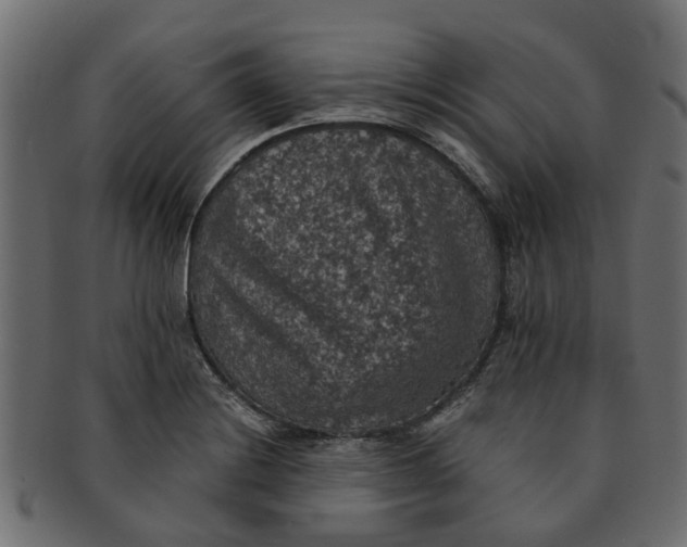 X0000091551228200709071209