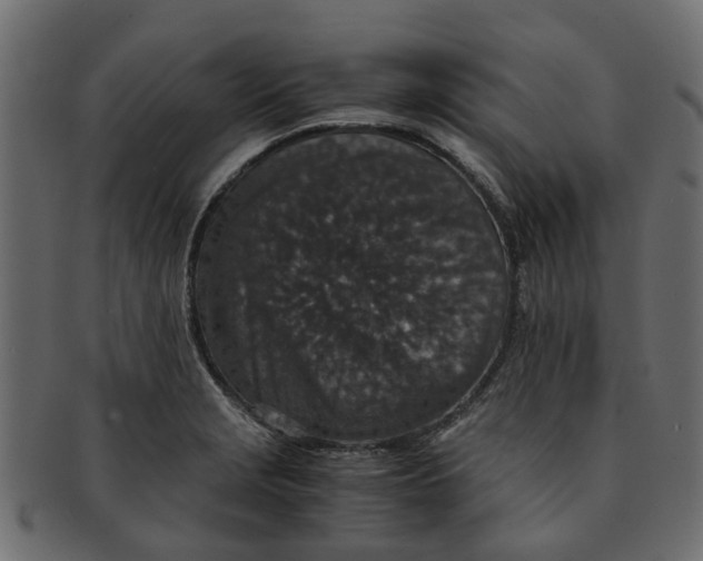 X0000091551229200709071209