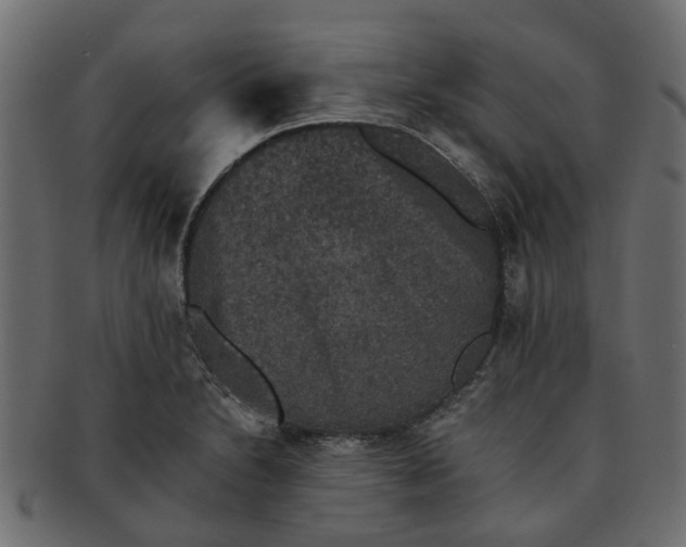 X0000091551230200709071209