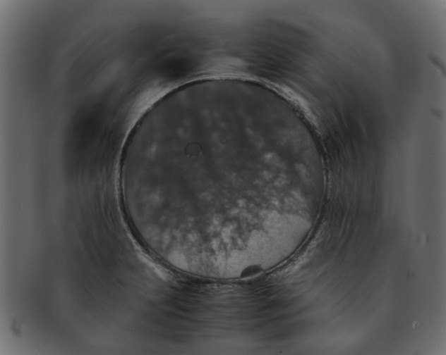 X0000091551231200709071209