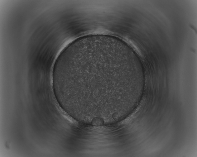 X0000091551232200709071209
